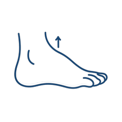 High Instep