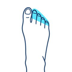 Tapered Toes